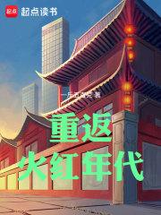四合院之光