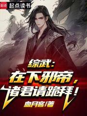 综武之战狂澜
