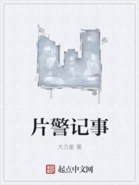 片警记事